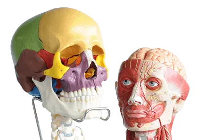 Medical Training Models